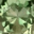 Green sapphire